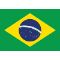 Brazil logo