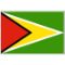 Guyana logo